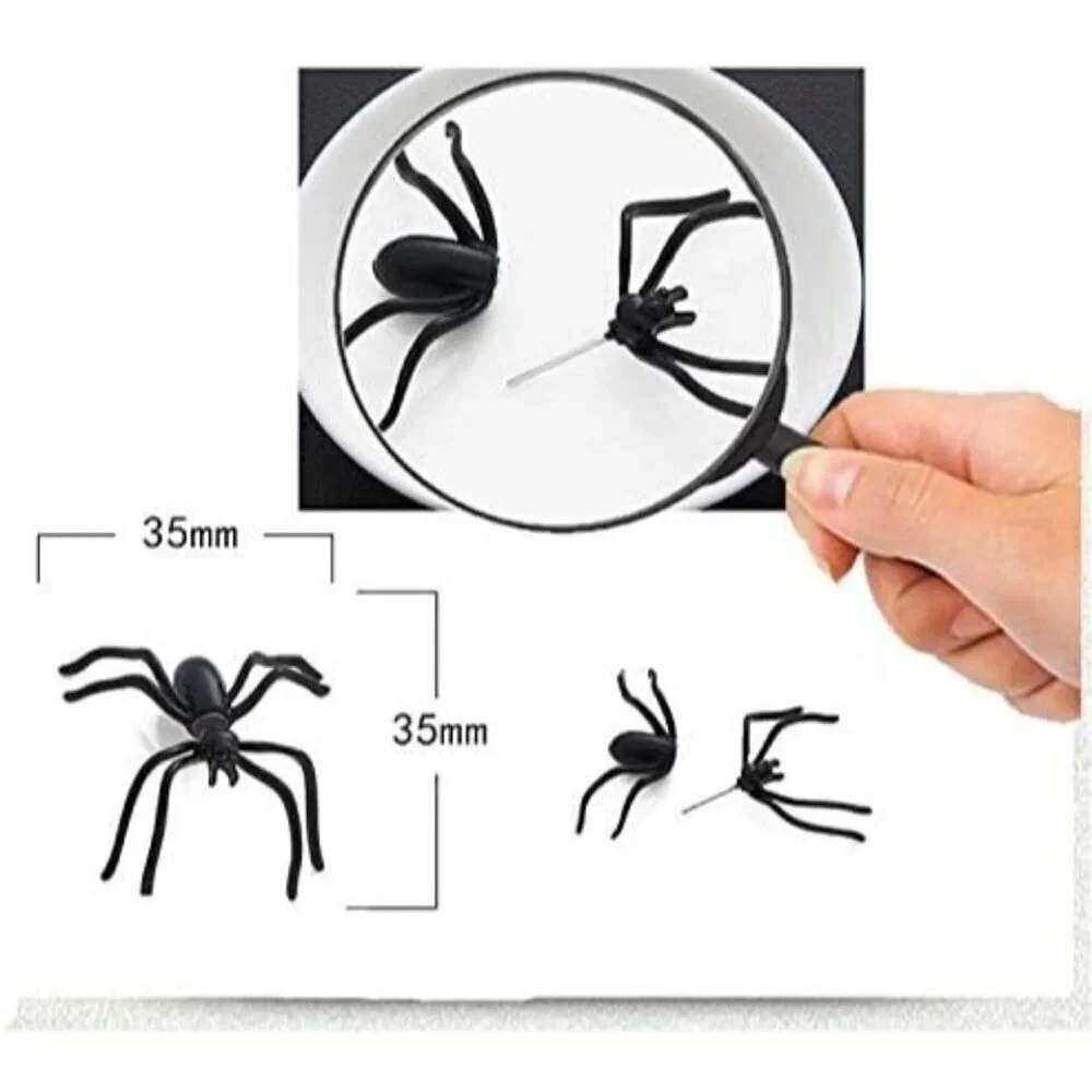 Women's Black Spider Halloween Decorations & Cosplay Party Supplies Earrings